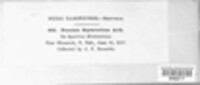 Image Associated With the Occurence